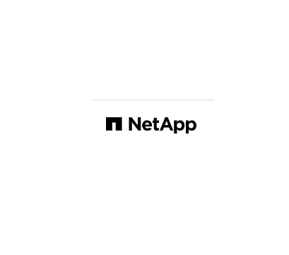 NetApp Excellerator innovation team meeting